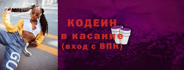 apvp Бородино