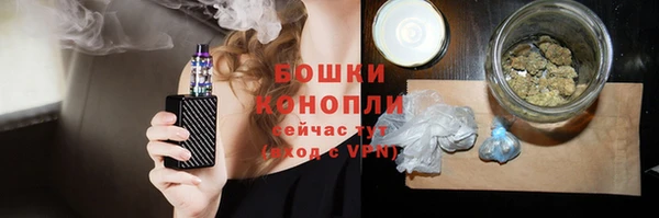 apvp Бородино