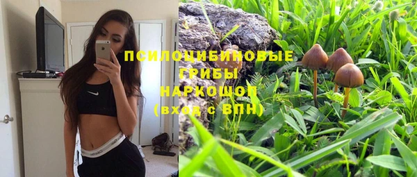 apvp Бородино