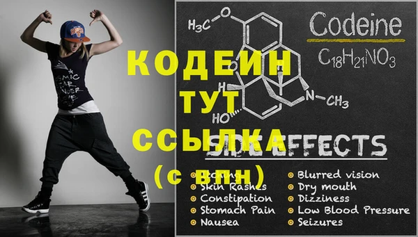 ГАЛЛЮЦИНОГЕННЫЕ ГРИБЫ Осинники