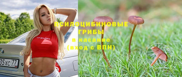apvp Бородино