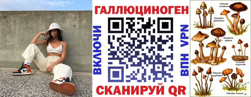 Псилоцибиновые грибы Psilocybe Первомайск